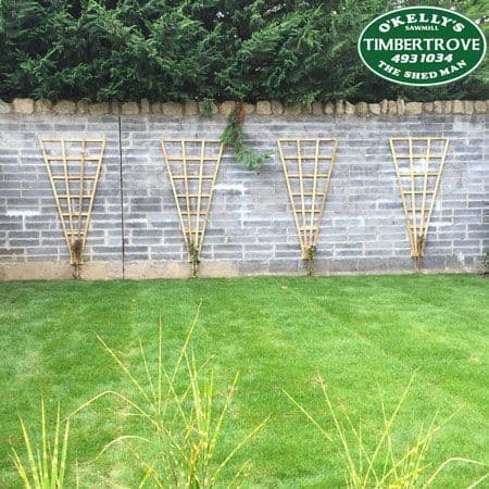 Fan Trellis