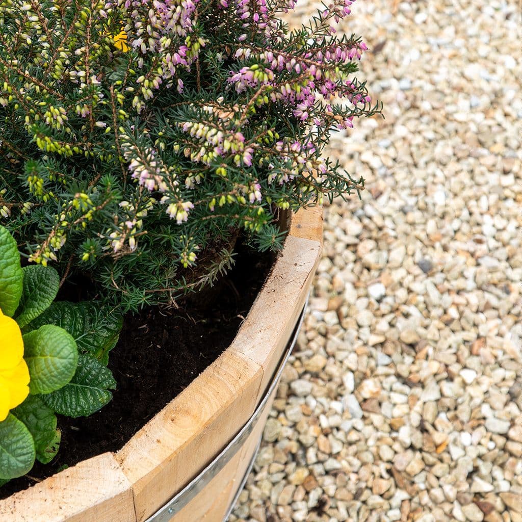 Hardwood Planter
