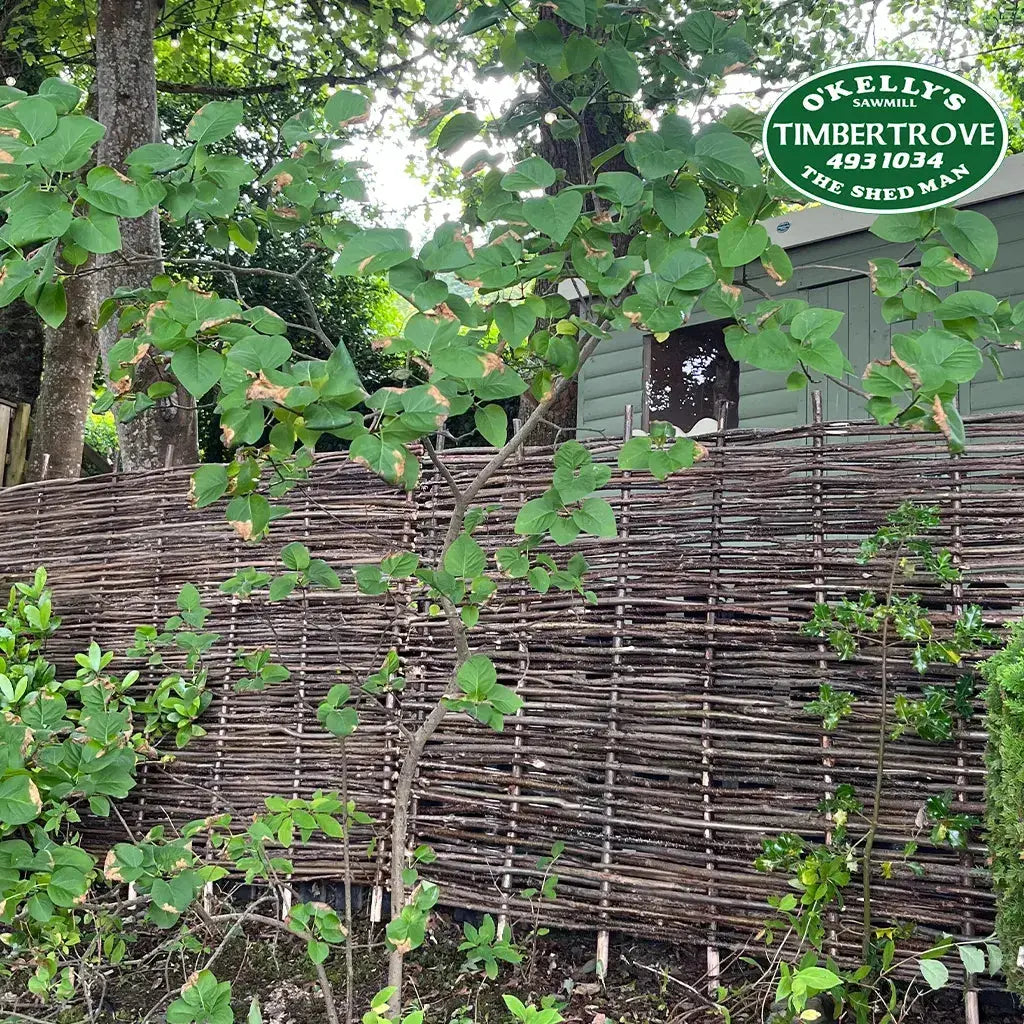 Hazel Classic Fencing Panel