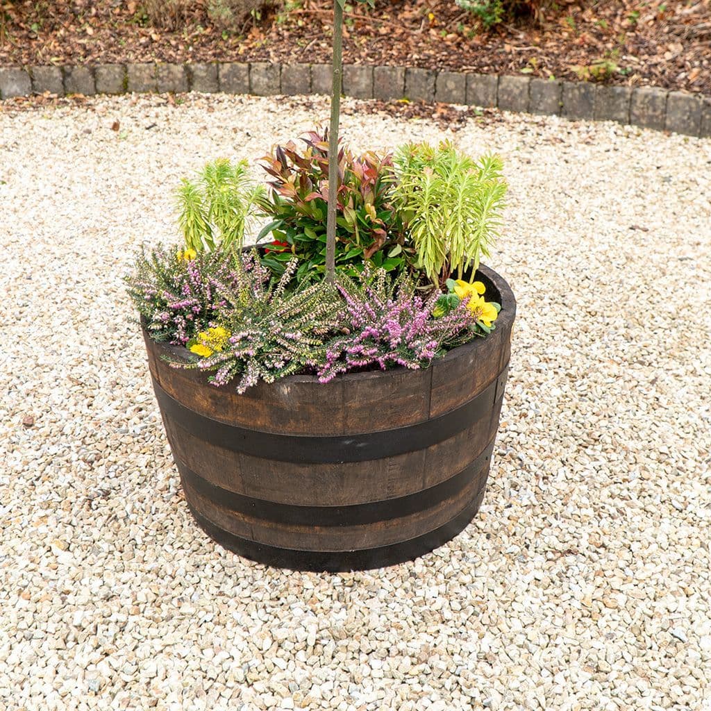 Oak Curved Barrel Planter