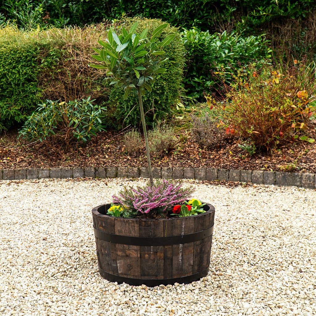 Oak Whisky Barrel Planter