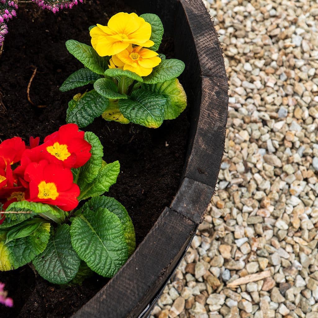 Oak Whisky Barrel Planter