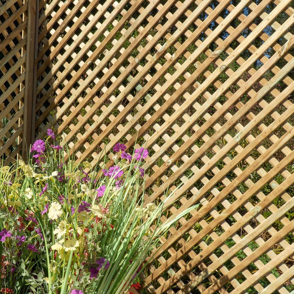 Privacy Diamond Trellis