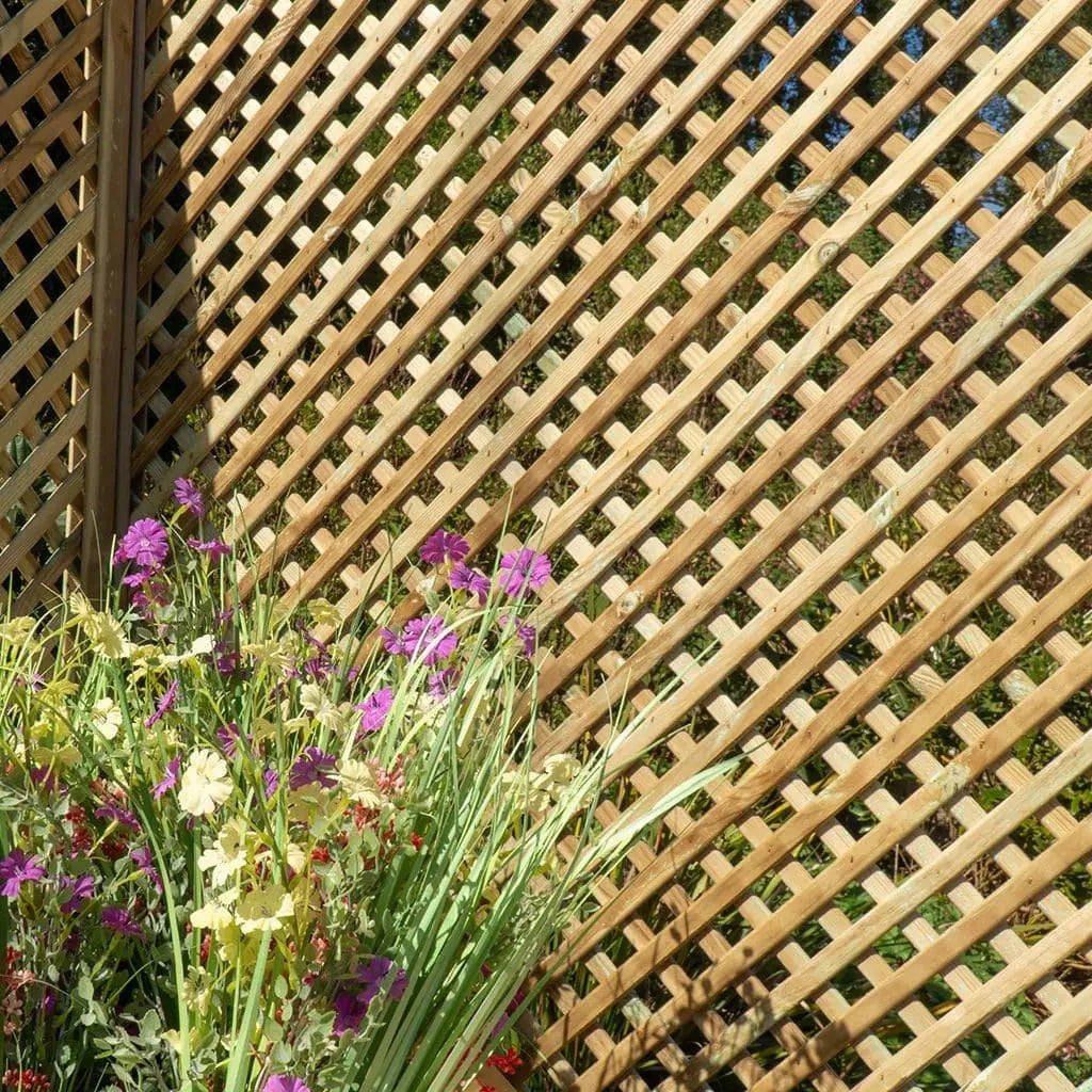 Privacy Diamond Trellis
