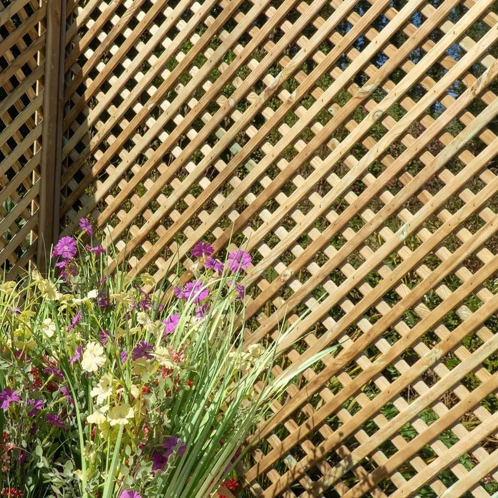 Privacy Diamond Trellis