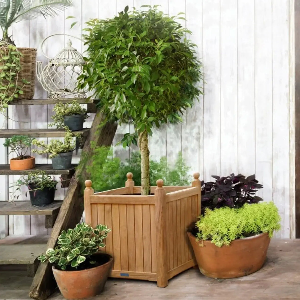 Teak Planter Timbertrove