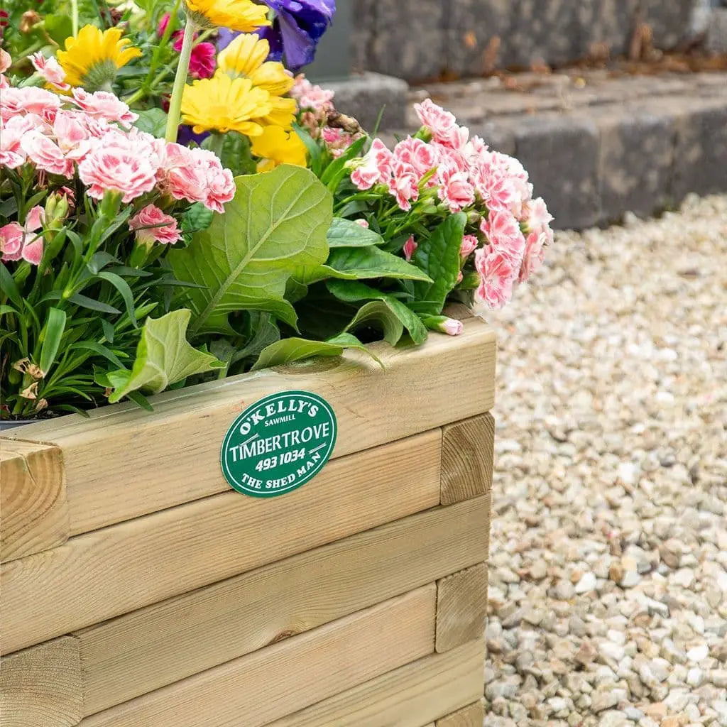 Tulip Hexagonal Planter