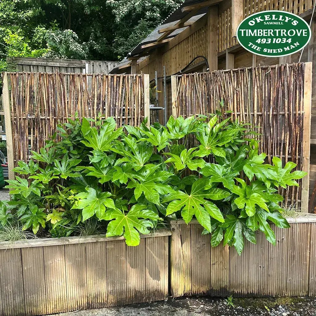 Willow Fencing Panel