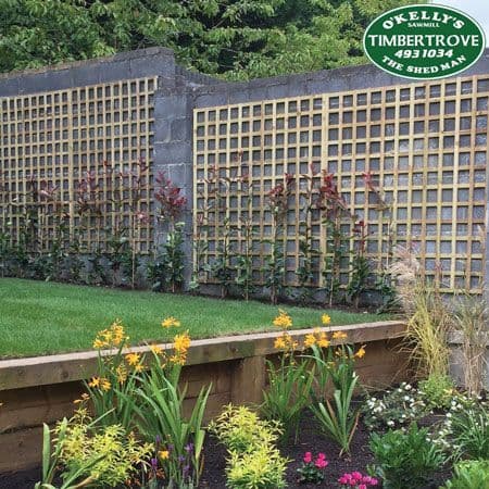 Garden Design: Timber Trellis