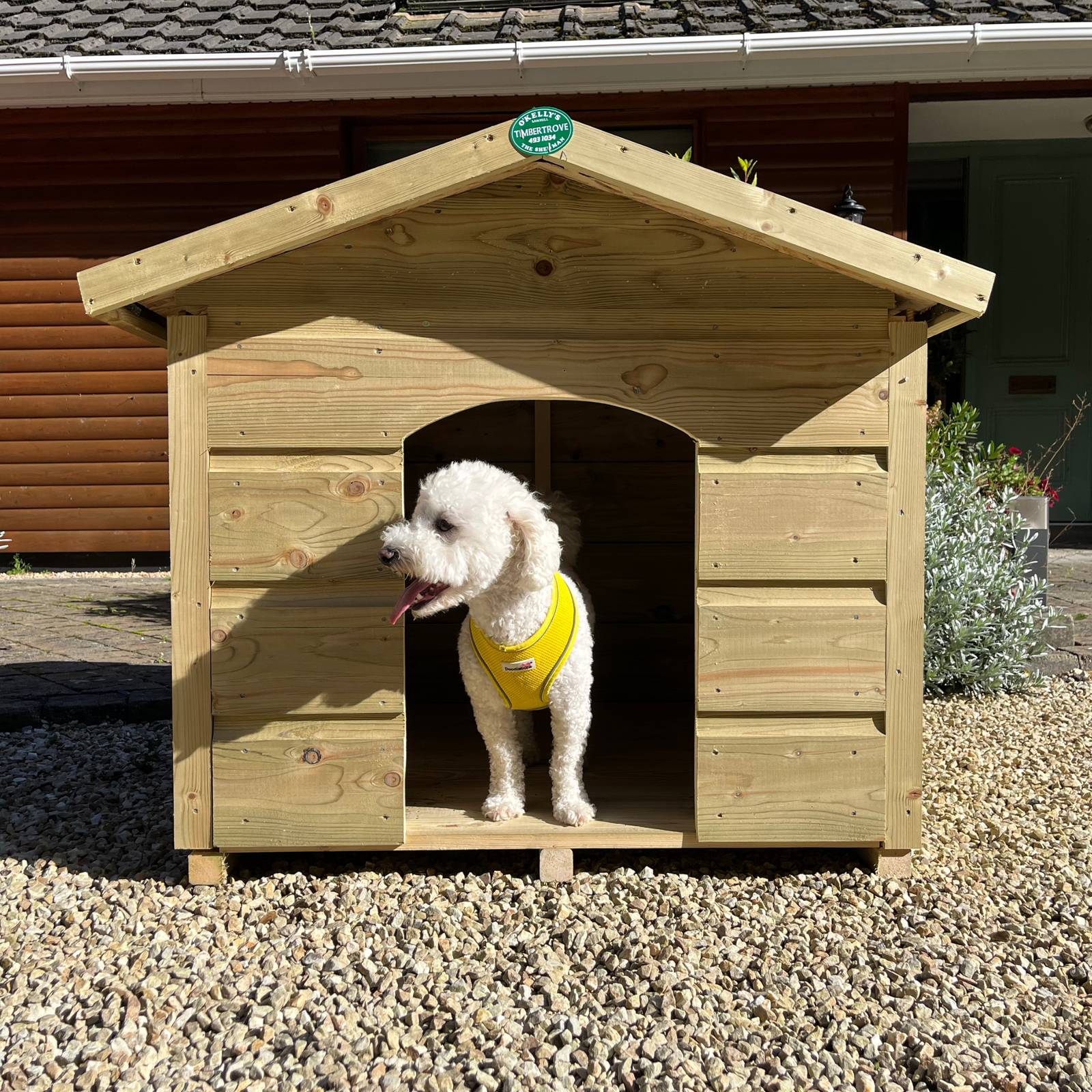 Strong and Stylish: The Best Timber Outdoor Dog Kennels for Your Home