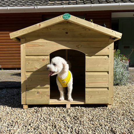 Outdoor Dog Kennels for Your Beloved Pets