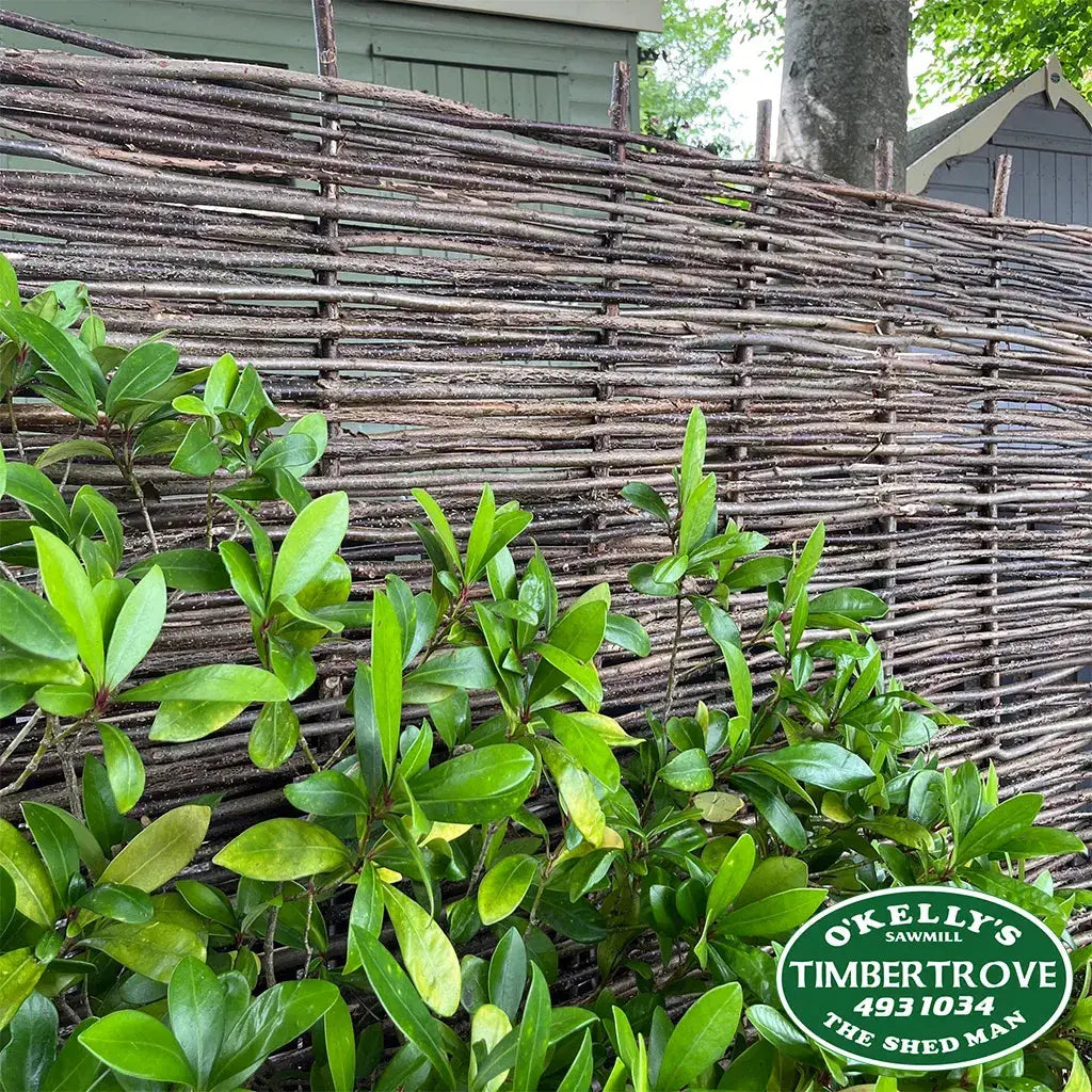 Hazel Fencing: A Rustic Solution