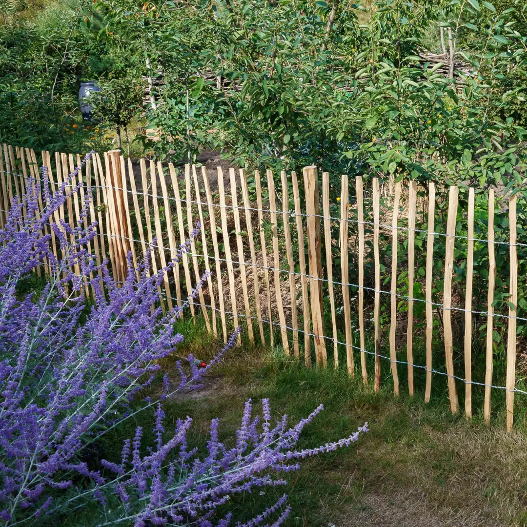 Transform Your Garden with Chestnut Paling
