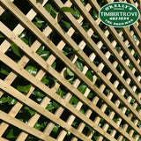 32mm x 16mm PAO Timber Treated