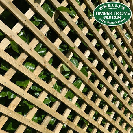 32mm x 16mm PAO Timber Treated