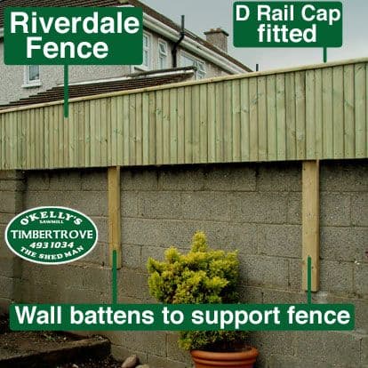 4 x 2 (100 x 44mm) Treated Timber