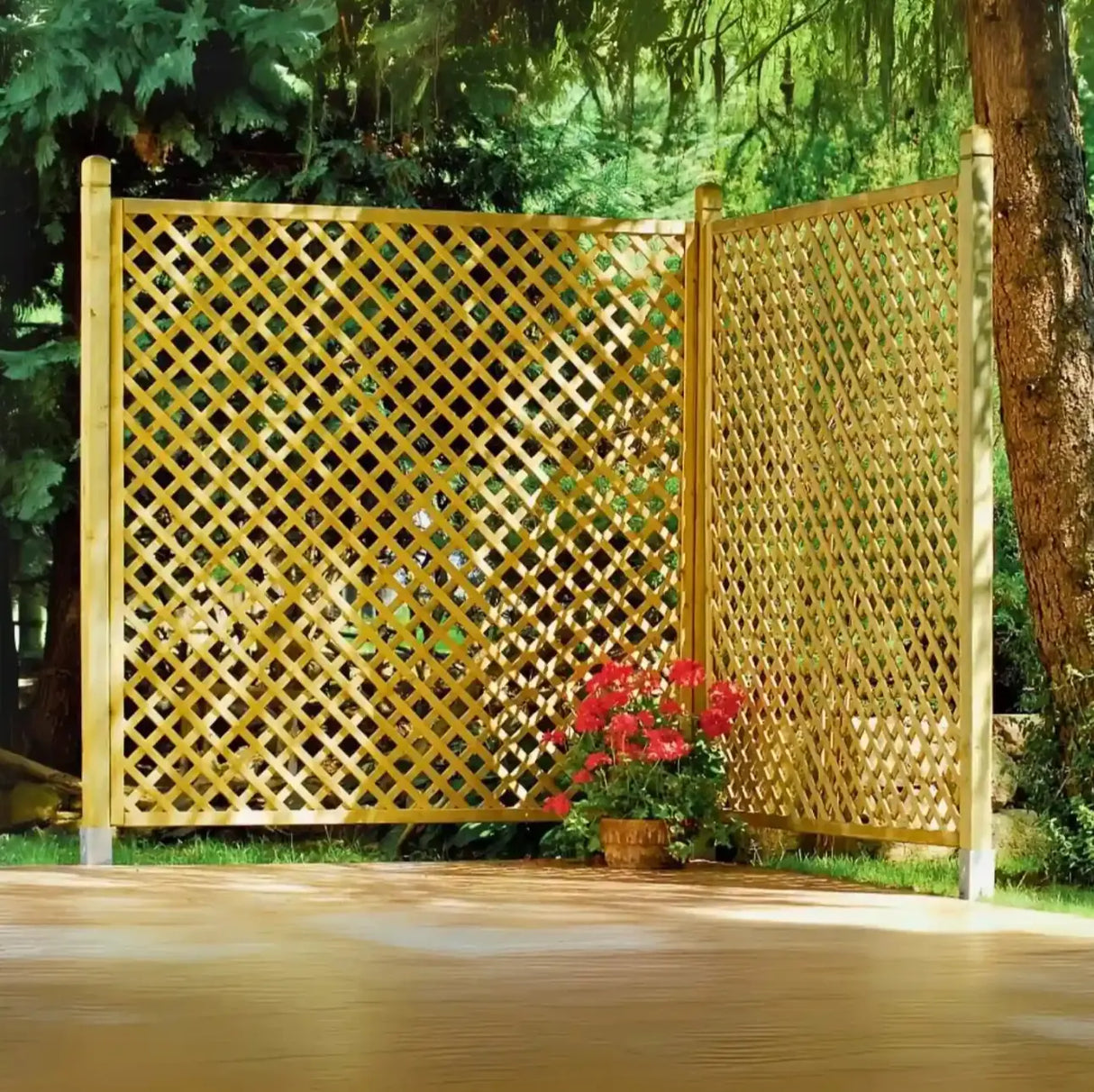 Lattice Trellis Timbertrove