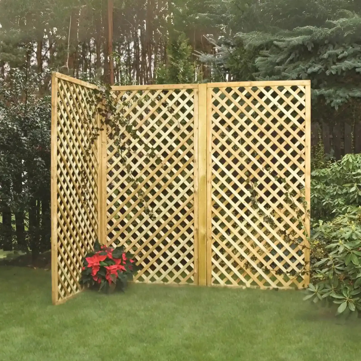 Lattice Trellis Timbertrove
