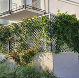 Lattice Trellis Timbertrove