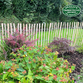 Chestnut Paling Fencing Roll