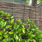 Hazel Classic Fencing Panel Timbertrove