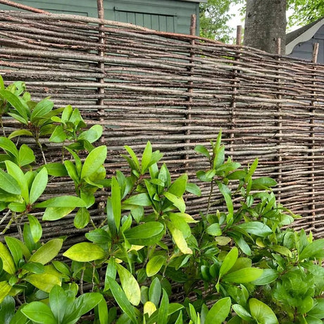 Hazel Classic Fencing Panel Timbertrove