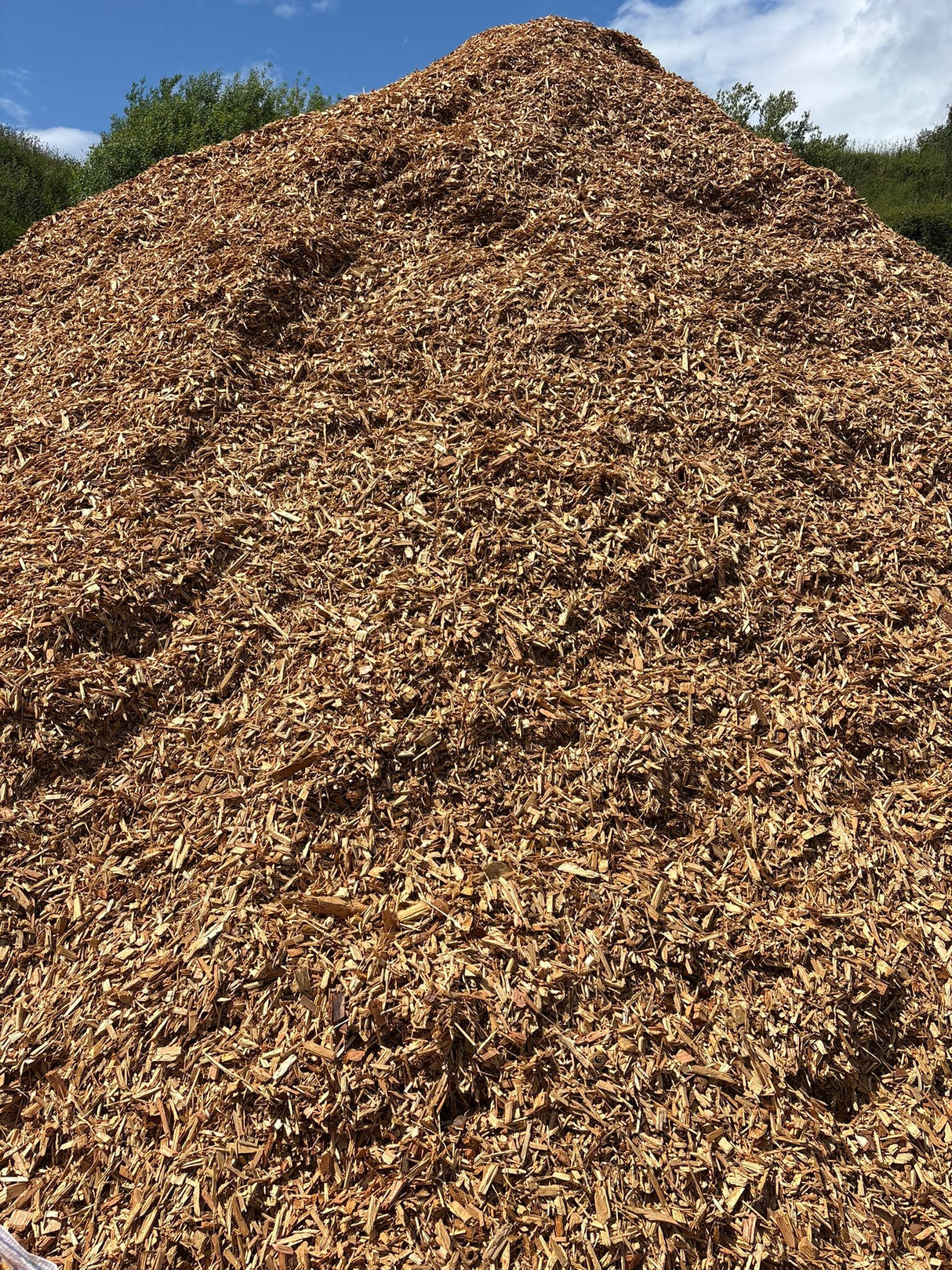 Clean Woodchip – 1 Ton Bag Timbertrove