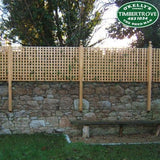 Infill 2" Square Trellis