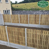 Picket Fencing Panel