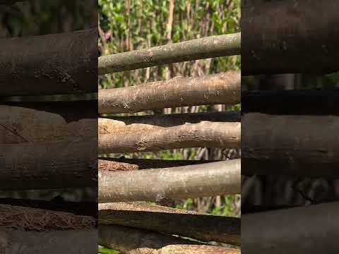 Hazel Heavy Fencing Panel