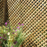 Privacy Diamond Trellis
