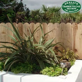 Round Top Closeboard Fencing Panel