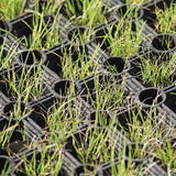 Safety Grass Rubber Mat