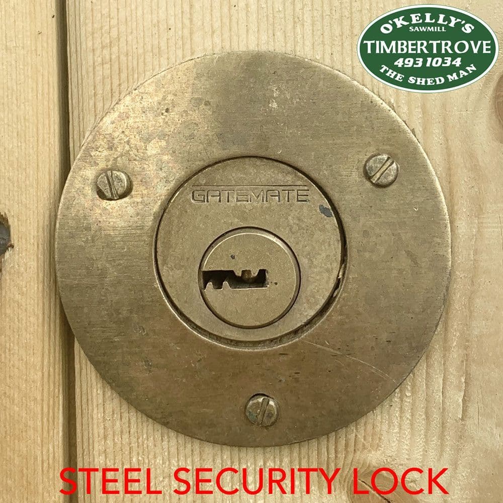 Shed Security Lock