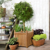 Teak Planter