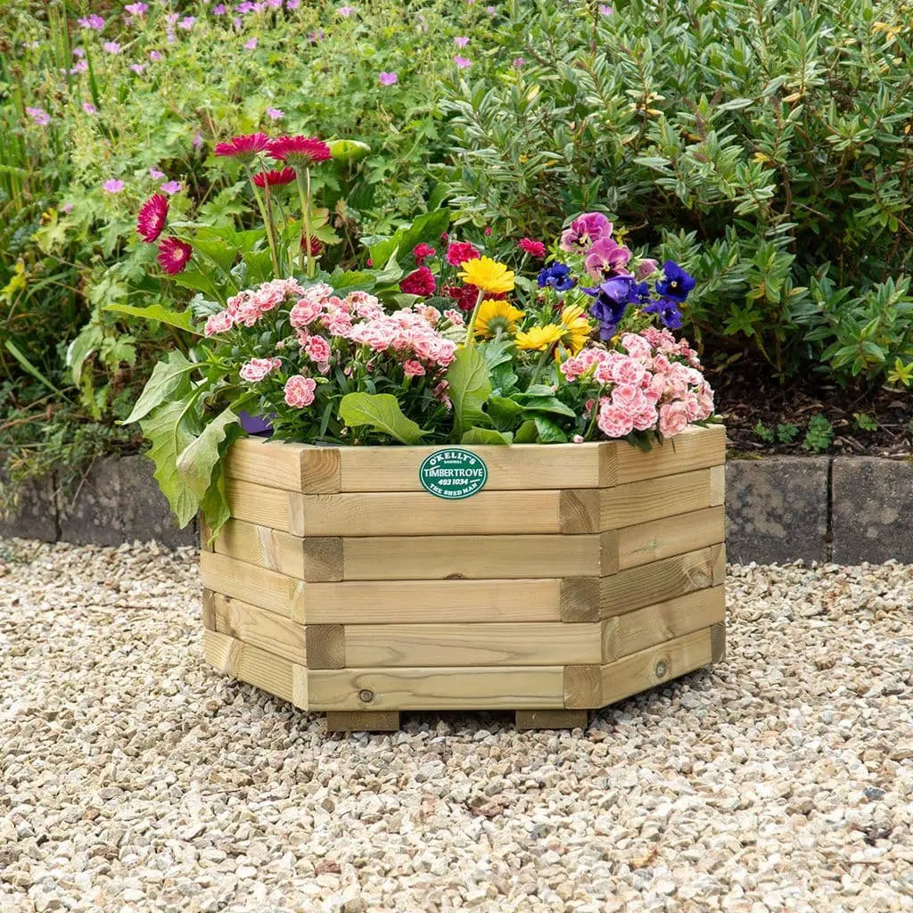 Tulip Hexagonal Planter