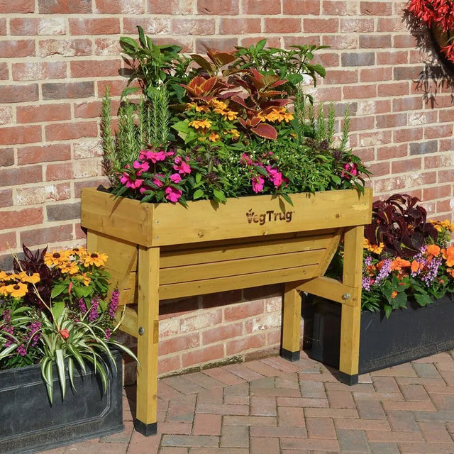 Wall Hugger VegTrug